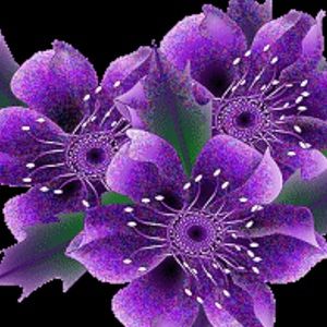 Meet your Posher, Vickye